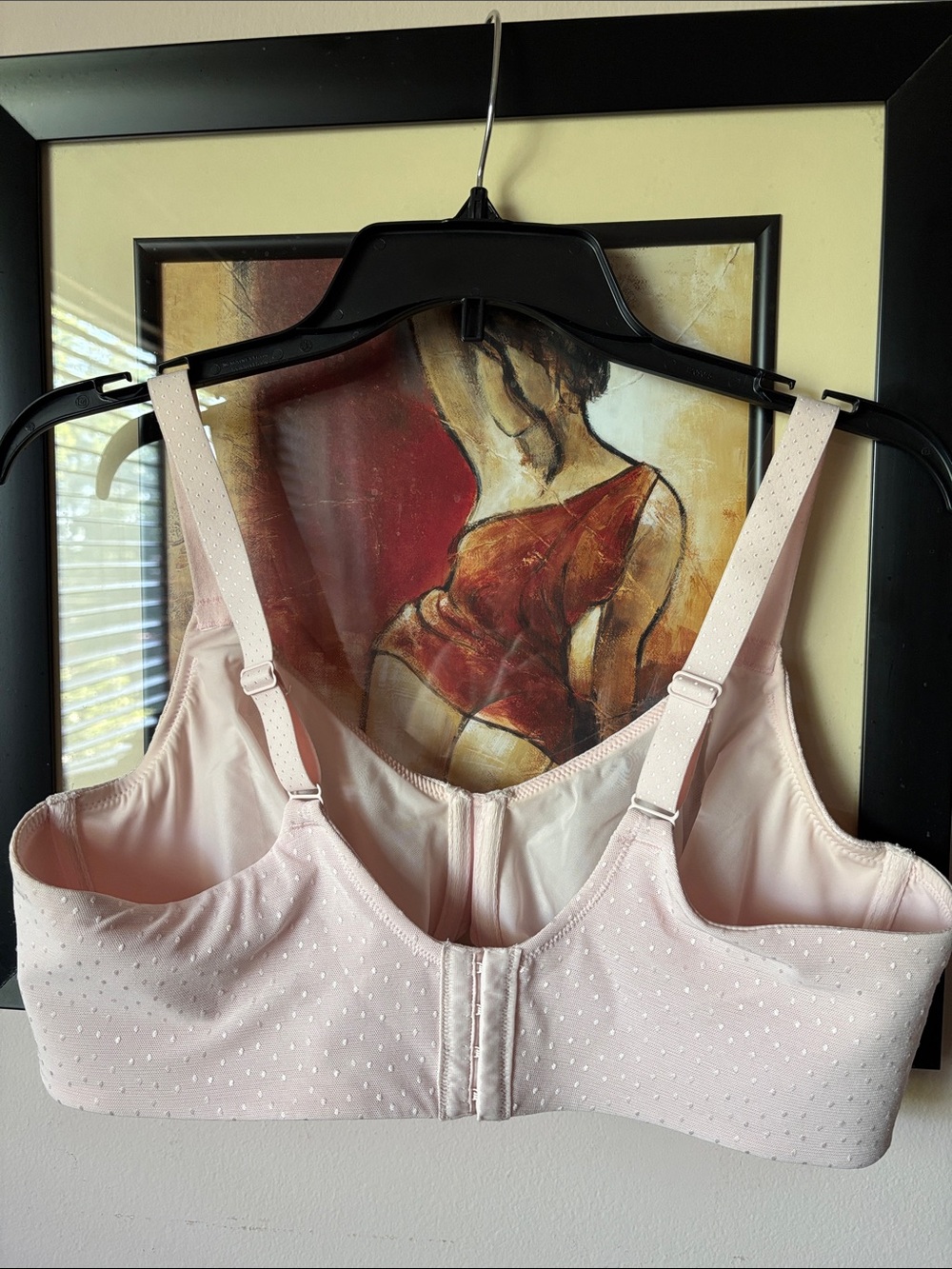 NEW, Wacoal Shimmery Light Pink Underwire Bra - Picture 2 of 10